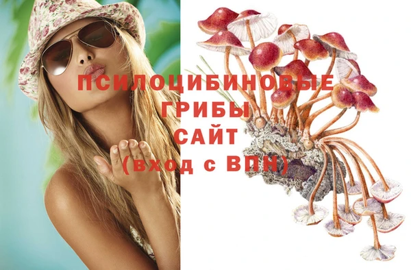 каннабис Алзамай