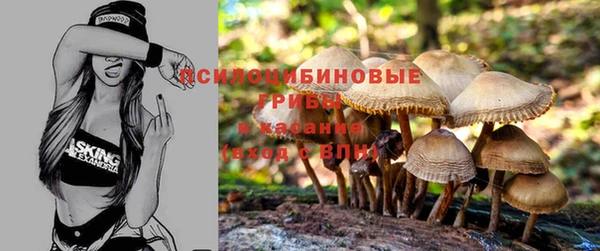 СК Алексин