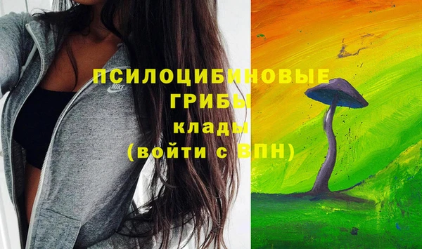 a pvp Абдулино